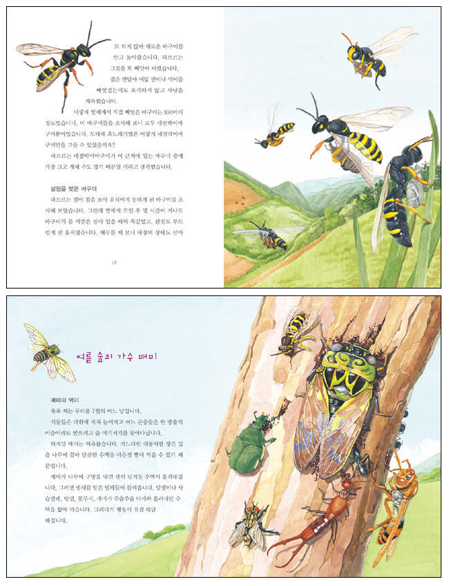 파브르 곤충기(저학년 명작 도서관) 도서 상세이미지