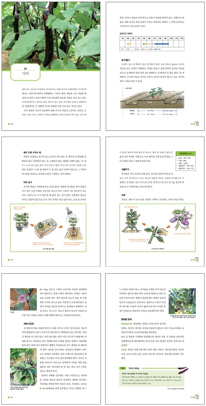 텃밭, 주말농장, 옥상, 베란다 채소 버섯 기르기(실전) 도서 상세이미지
