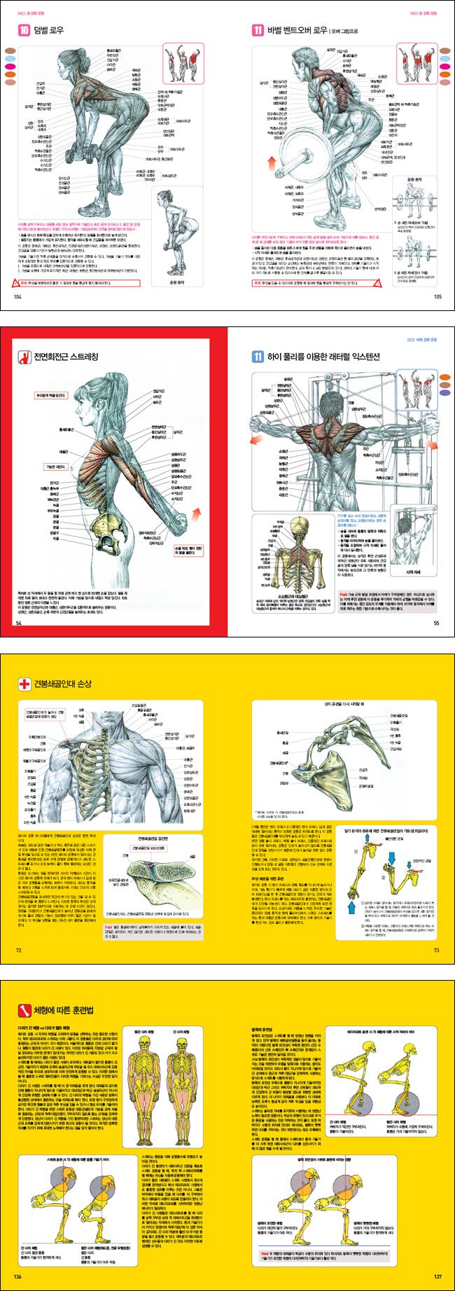 근육운동가이드(New)(개정판 3판) 도서 상세이미지