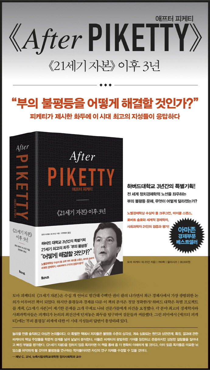  Ƽ(After Piketty)(庻 HardCover)  ̹