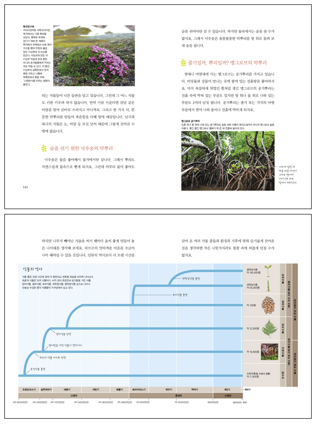 파브르 식물 이야기 1(사계절 아동교양 클래식 03) 도서 상세이미지