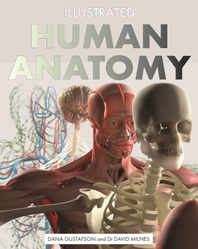[해외]Illustrated Human Anatomy
