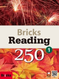 Bricks Reading 250 1