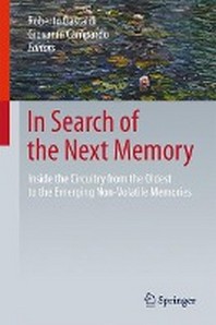 In Search of the Next Memory