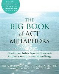 [해외]The Big Book of ACT Metaphors (Paperback)