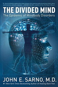 [해외]The Divided Mind (Paperback)