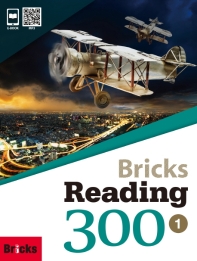 Bricks Reading 300 1
