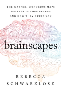 [해외]Brainscapes