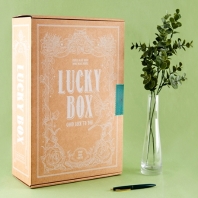 LUCKY BOX 25800 D형