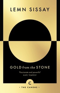 [해외]Gold from the Stone (Paperback)