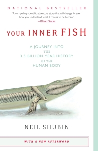 your inner fish series