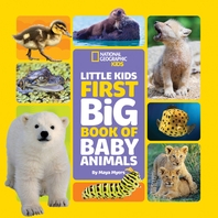 [해외]Little Kids First Big Book of Baby Animals