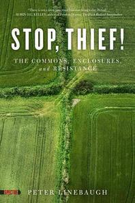 [해외]Stop, Thief! (Paperback)