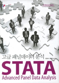 STATA 고급 패널데이터 분석