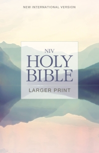 NIV, Holy Bible, Larger Print, (Special)