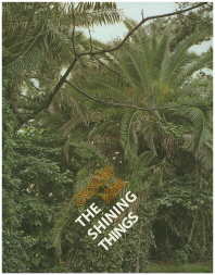 The Shining Things(Oksun Kim)