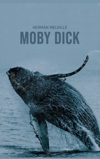 [해외]Moby Dick (Hardcover)