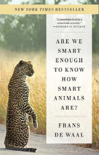 [해외]Are We Smart Enough to Know How Smart Animals Are?