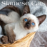 [해외]Siamese Cats 2023 Wall Calendar