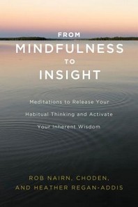 [해외]From Mindfulness to Insight (Paperback)