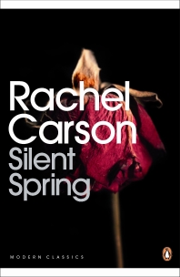 [해외]Silent Spring (Paperback)