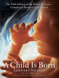 [해외]A Child Is Born