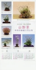 [해외]カレンダ- '22 山野草(四季の鉢植え