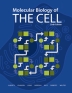 [보유]Molecular Biology of the Cell