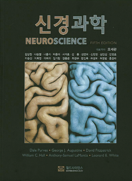 Neuroscience purves 5th edition