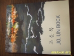 미술 화보 / 벽촌 조운복 JO UN BOCK  works 2012-1961  -2013년.초판. 아래참조