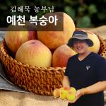 [참다올] 산지직송 예천 복숭아 4.5kg(13-14과)