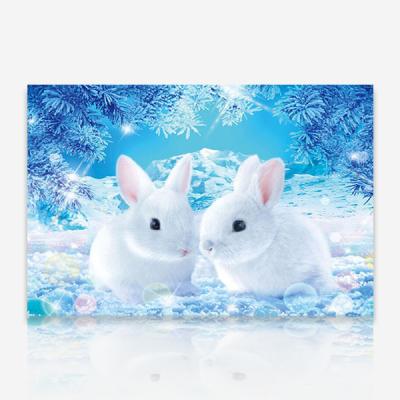겨울 흰토끼 DIY 보석십자수 십자수 비즈세트