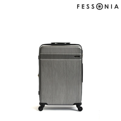 [페소니아]벨라 여행가방 기내용 티타늄 20형 캐리어