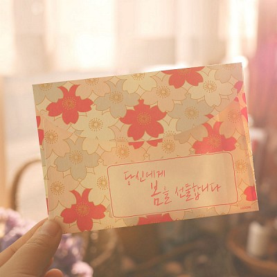 Cherry Blossom Letter Set (편지지)