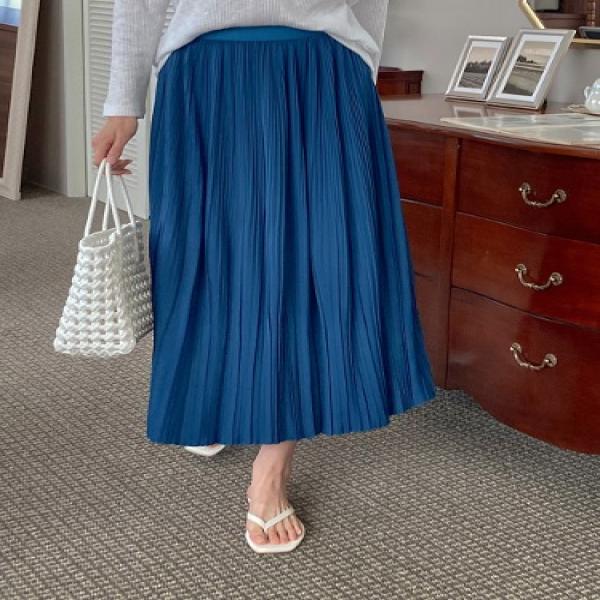 Multi Pleats Long Skirt