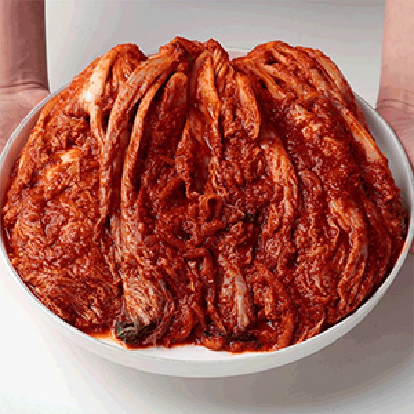 맵따구 매운 실비 포기 배추 불김치(기본매운맛)1.5kg