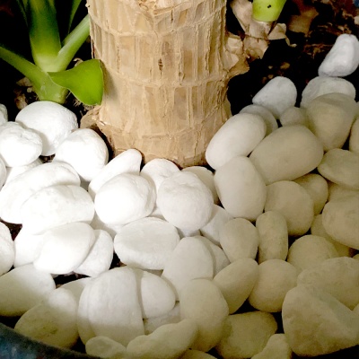 하얀돌 백자갈 하얀돌멩이 화분돌 3kg