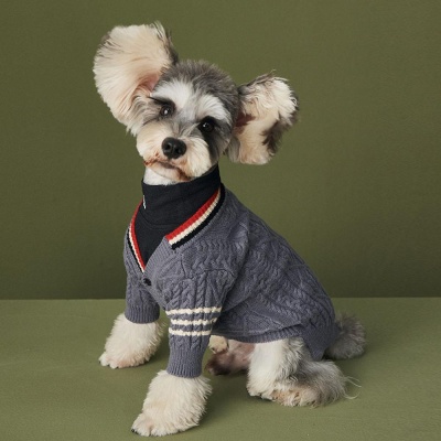 강아지 고양이 명품 옷 스웨터 가을 겨울 니트 가디건