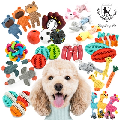 [딩동펫]강아지 장난감 모음전