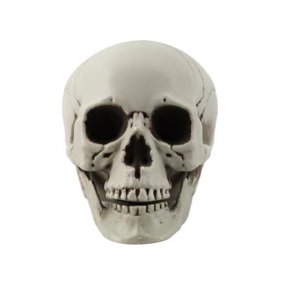 두개골 해골 모형 3호 (11X9X8.5cm)