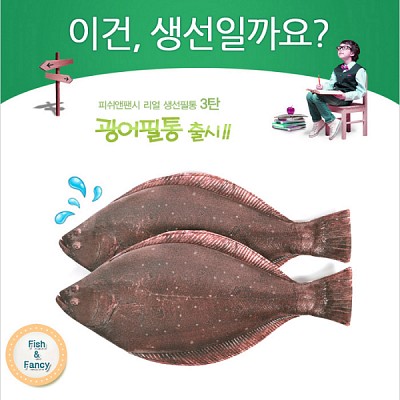 ★무료배송 [피쉬앤팬시] 생선필통 광어필통