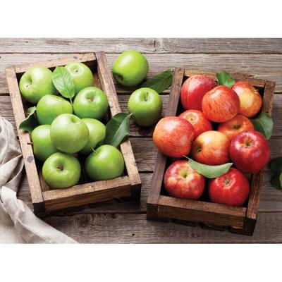 1000피스 직소퍼즐 - 녹색사과와 빨간사과 (미니)