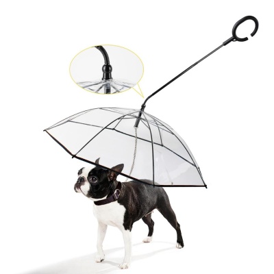 강아지 소형견 중형견 산책용 전용 투명 우산