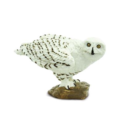 264729 흰올빼미 Snowy Owl
