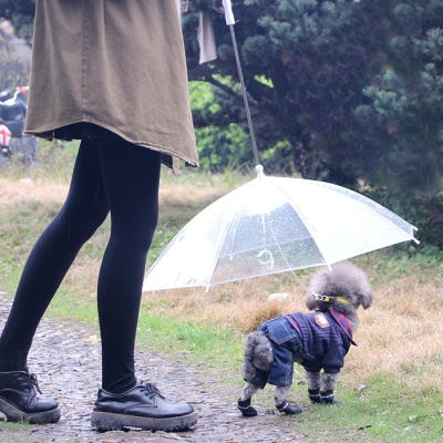 갓샵 강아지 애견 우산 산책 용품 우비 반려견 개우산