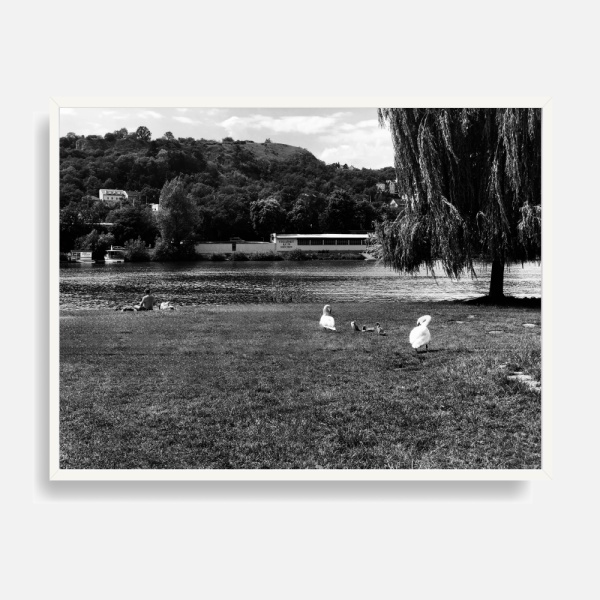 인테리어 포스터_The geese by lake(2316)