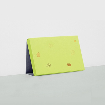 Lapis card wallet - 라피스 카드 케이스