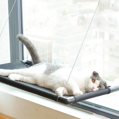 갓샵 꿀잠 고양이창문해먹 최대 20kg 윈도우 냥이침대