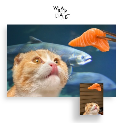 고양이 엽서 시리즈