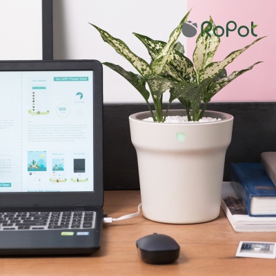 샤오미 로팟 스마트 화분 앱 연동 식물 성장 관리